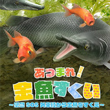 あつまれ！金魚すくい