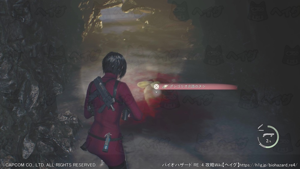 グレゴリオ水路のヌシ