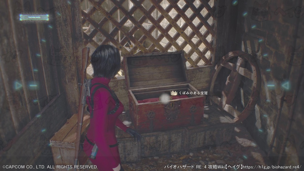 くぼみのある宝冠