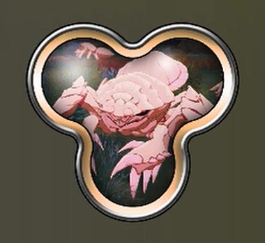 E-ヒメカニクモの団らん