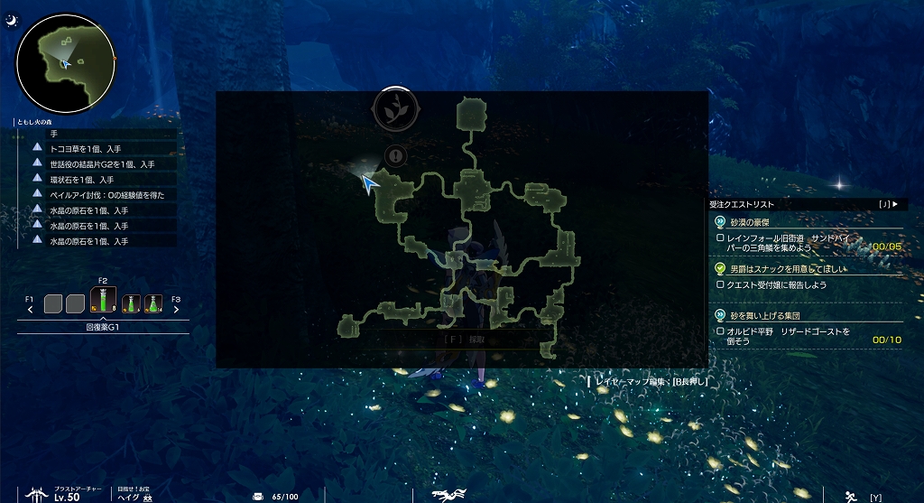 フィエルの若木