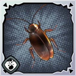 揚げ黒光りする何か