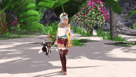 ライザ2 レベルアップ_0.gif