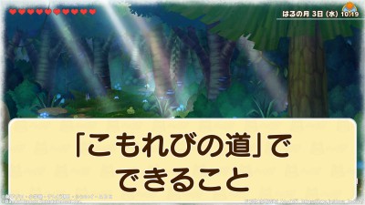 「こもれびの道」で出来ること