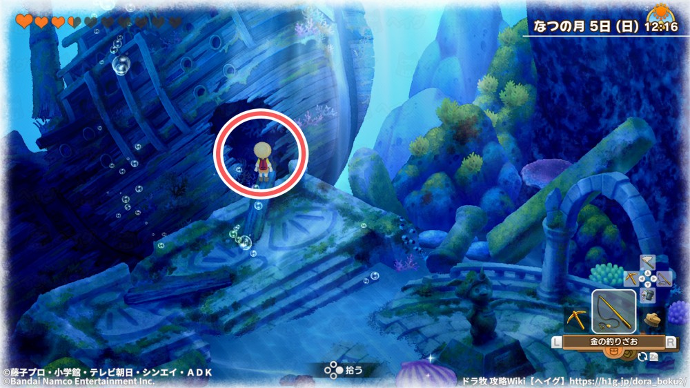 「沈没船カノープス」への行き方と出来ること