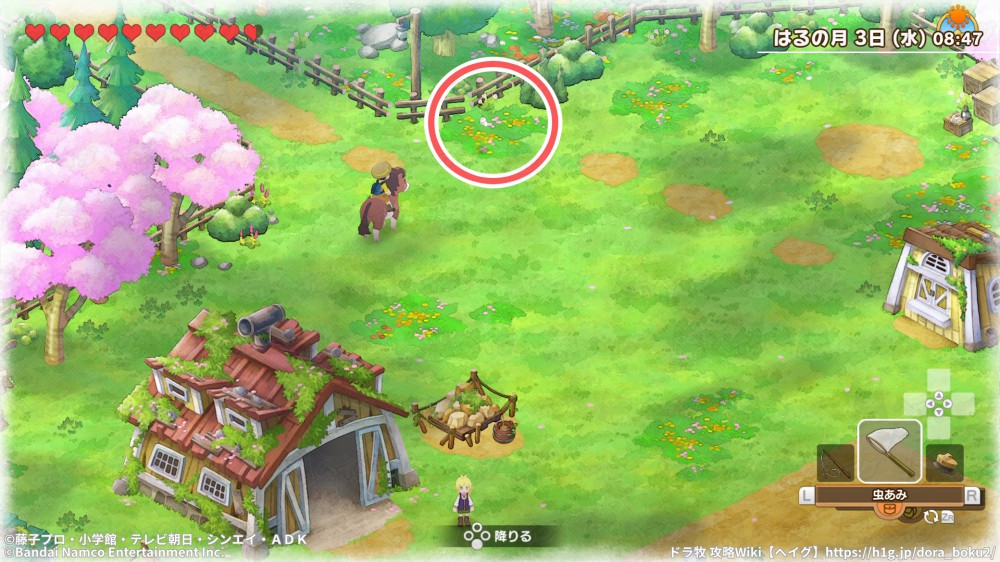 【ドラ牧2】虫捕りスポット