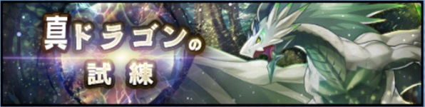 真ドラゴンの試練.jpg