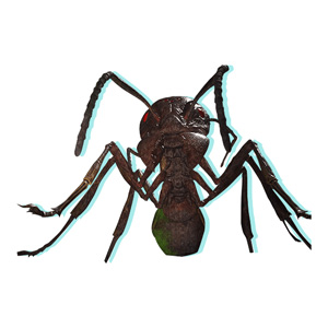 侵略性外来生物αPlus