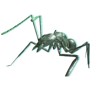 強食性侵略生物