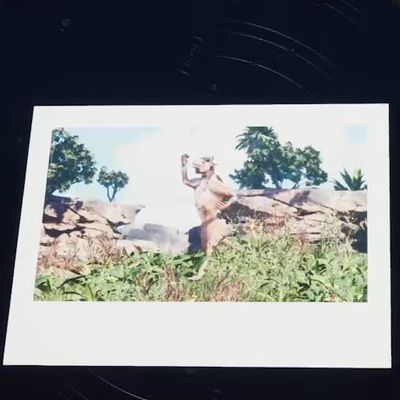 『決意』の写真