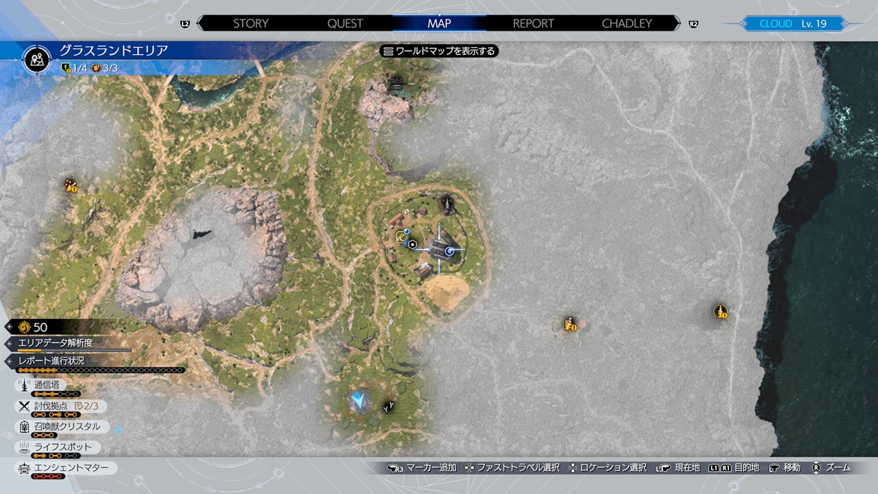 丘の上に咲く花