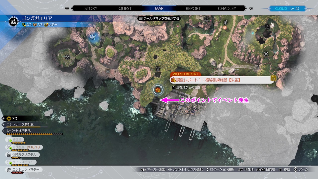 調査レポート/ゴンガガエリア