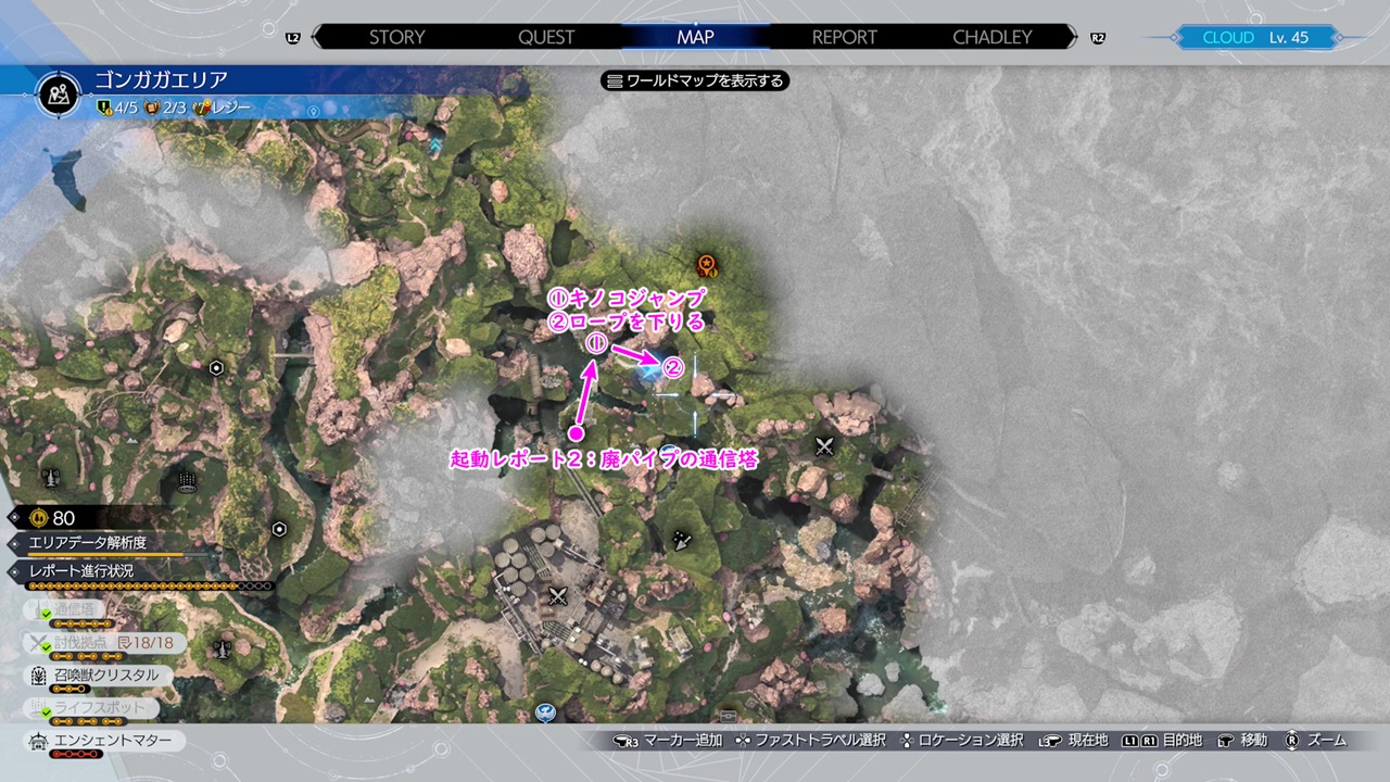 調査レポート/ゴンガガエリア