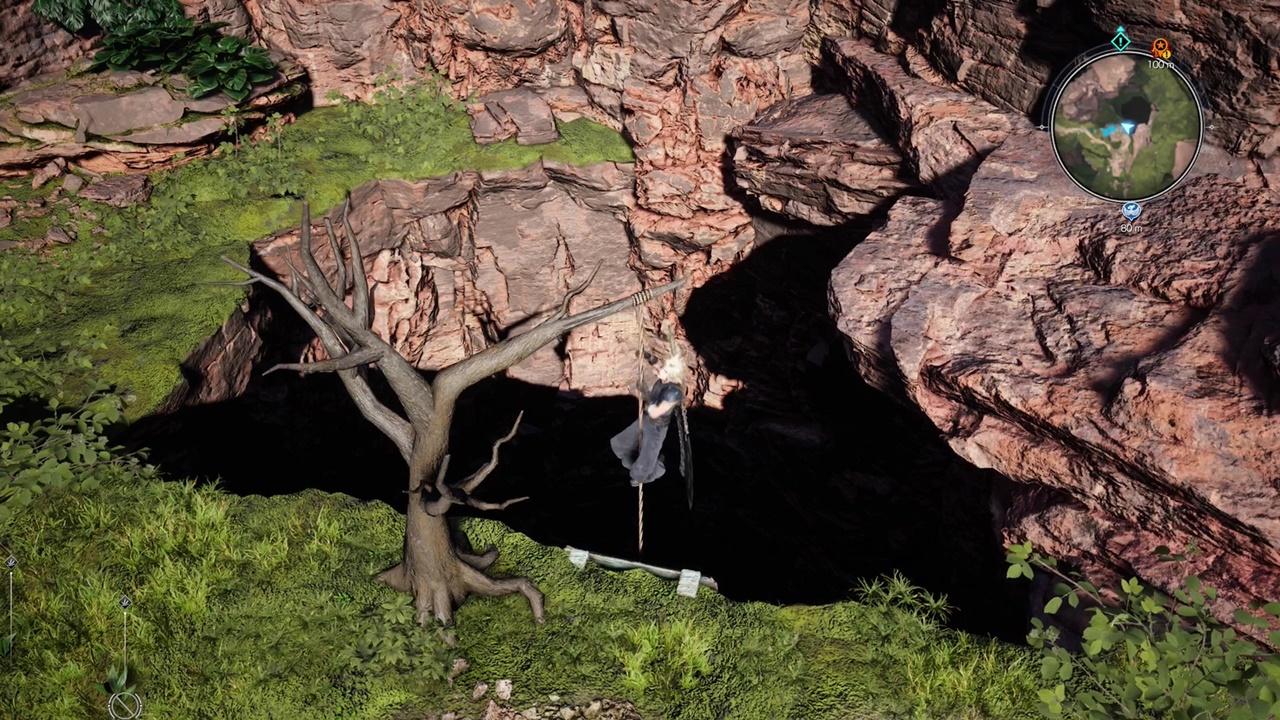 調査レポート/ゴンガガエリア