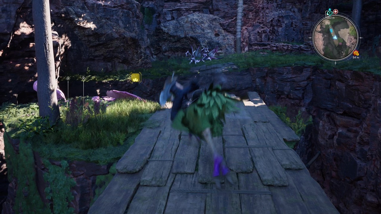 調査レポート/ゴンガガエリア