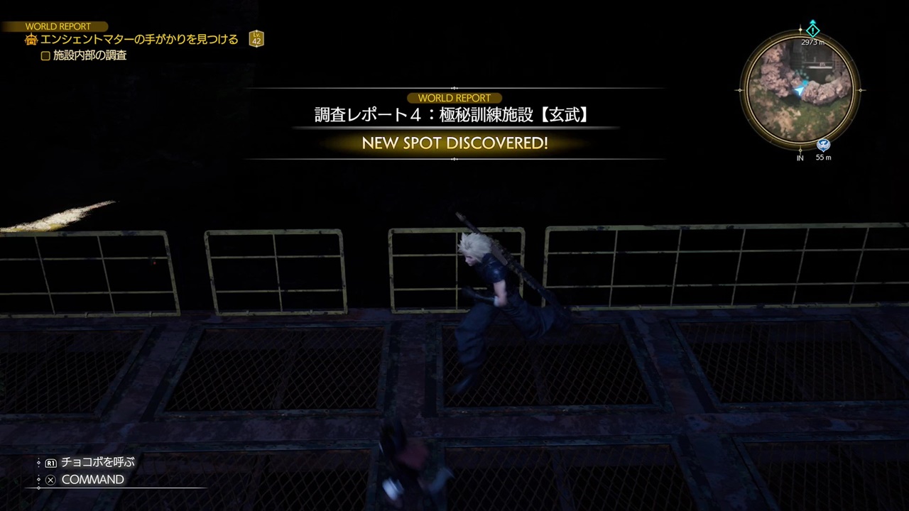 調査レポート/ゴンガガエリア