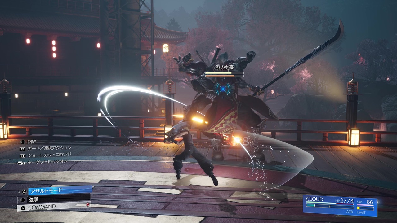 調査レポート/ゴンガガエリア