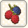 あまーいベリーC.PNG
