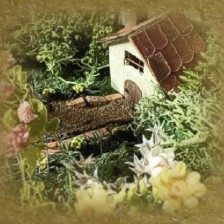 nolink,【Miniature LAND】Part1