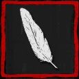 ガンの羽.jpg