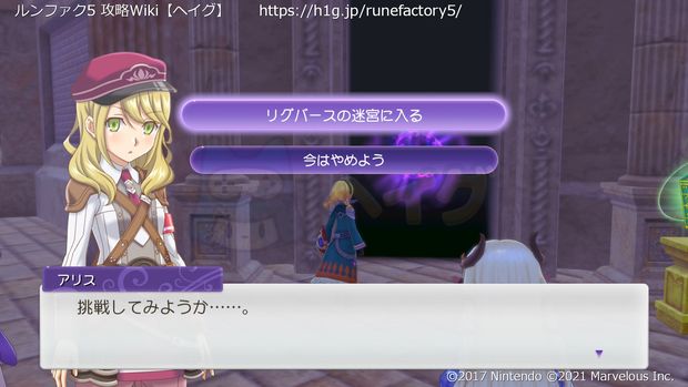 リグバースの迷宮に挑戦