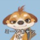 ミーアキャット