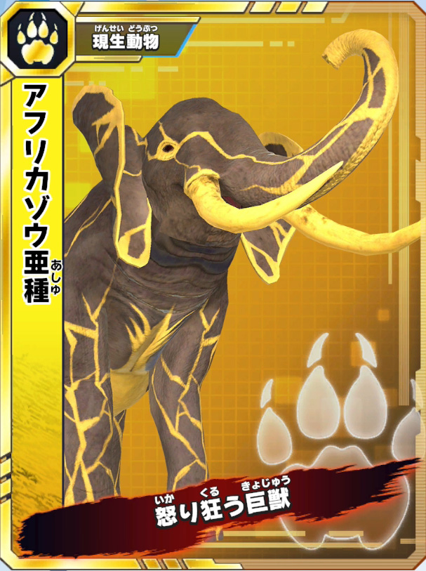 アフリカゾウ亜種