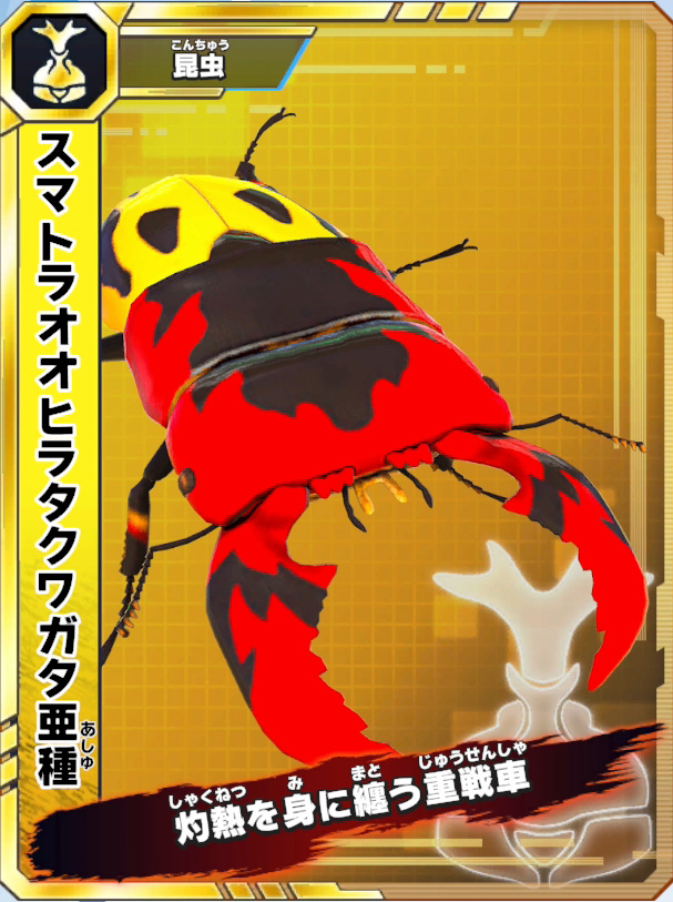 スマトラオオヒラタクワガタ亜種