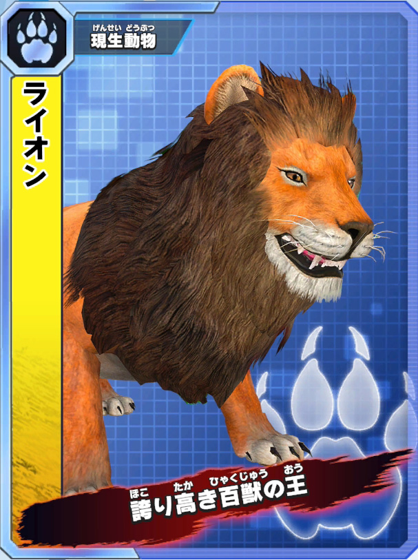 ライオン ライオン