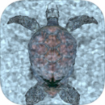 脱出ゲーム SUNKEN ROOM