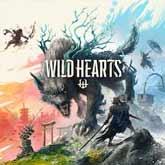 WILD HEARTS
