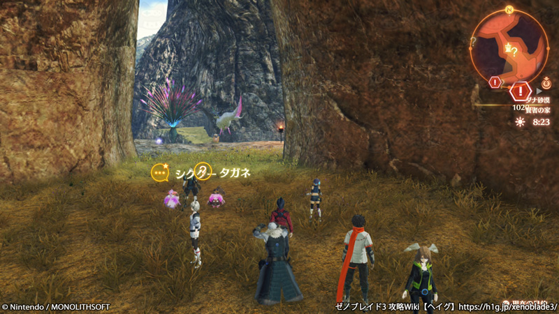 クエスト「ドキドキワクワクしても！」