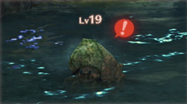 特殊な行動について